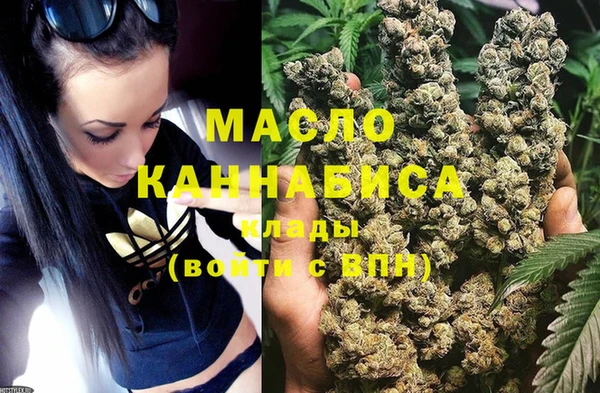 мет Ельня