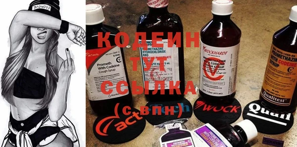 мет Ельня