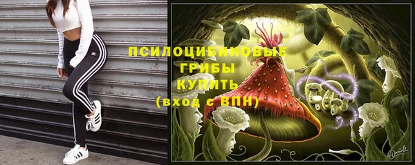 таблы Елизово