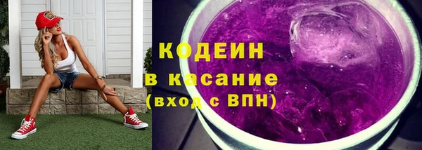 мет Ельня