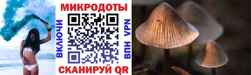 Галлюциногенные грибы ЛСД  Купить  Исилькуль 
